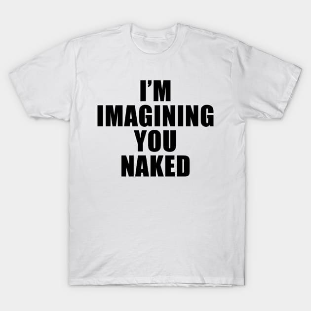 I'm Imagining You Naked T-Shirt by TheCosmicTradingPost